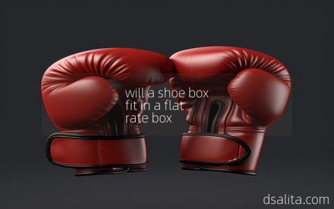 will a shoe box fit in a flat rate box-Dsalita Boxing