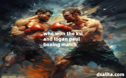 who won the ksi and logan paul boxing match-Dsalita Boxing