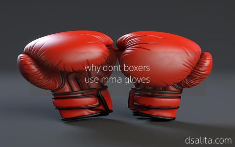 why dont boxers use mma gloves-Dsalita Boxing