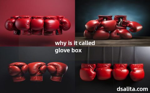 why is it called glove box-Dsalita Boxing