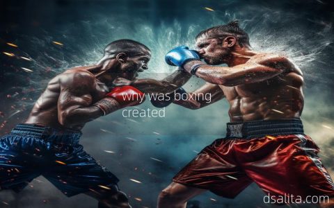 why was boxing created-Dsalita Boxing