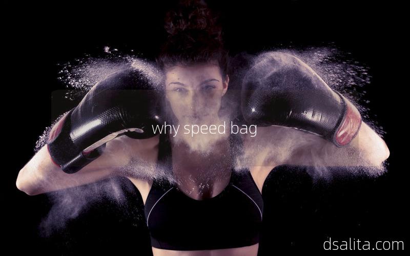 why speed bag-Dsalita Boxing