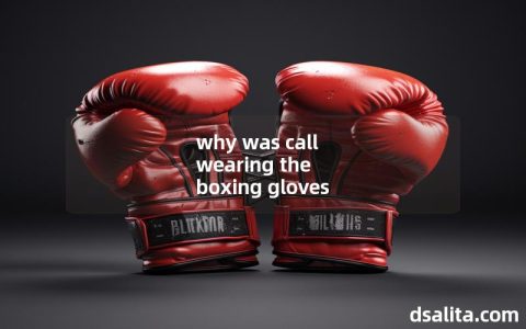 why was call wearing the boxing gloves-Dsalita Boxing