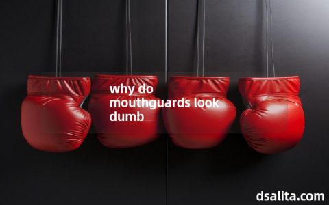 why do mouthguards look dumb-Dsalita Boxing