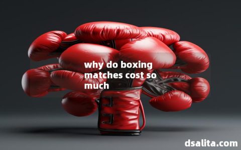 why do boxing matches cost so much-Dsalita Boxing