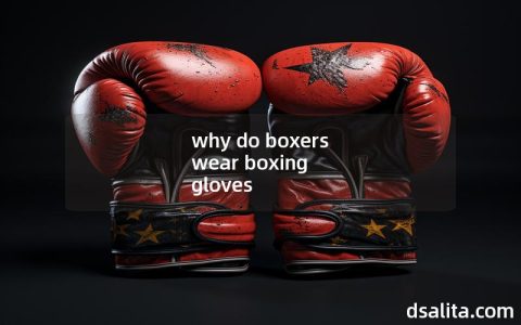why do boxers wear boxing gloves-Dsalita Boxing
