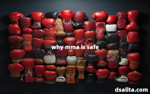why mma is safe-Dsalita Boxing