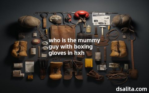 who is the mummy guy with boxing gloves in hxh-Dsalita Boxing
