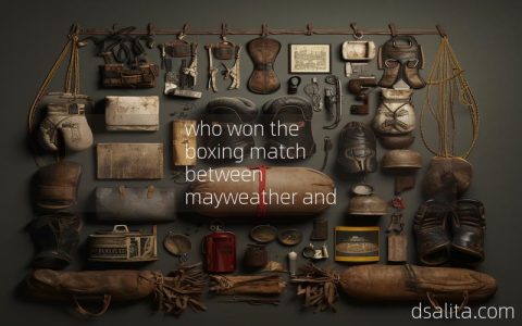 who won the boxing match between mayweather and mcgregor-Dsalita Boxing