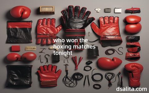 who won the boxing matches tonight-Dsalita Boxing