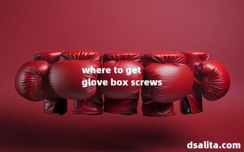 where to get glove box screws-Dsalita Boxing