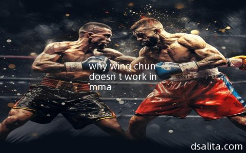 why wing chun doesn t work in mma-Dsalita Boxing