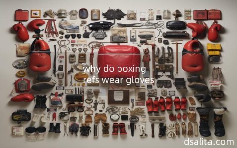 why do boxing refs wear gloves-Dsalita Boxing