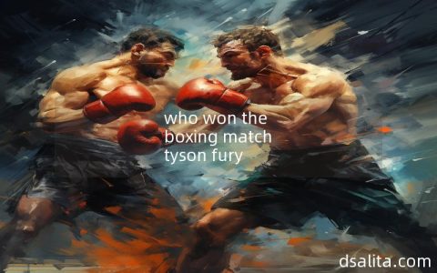 who won the boxing match tyson fury-Dsalita Boxing