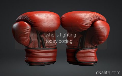 who is fighting today boxing-Dsalita Boxing