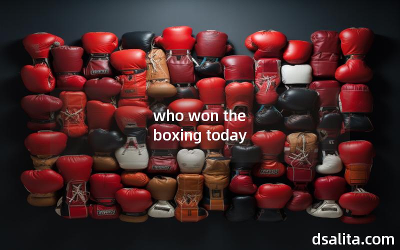 who won the boxing today