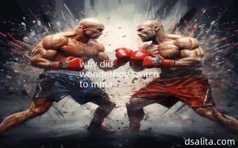 why did wonderboy switch to mma-Dsalita Boxing