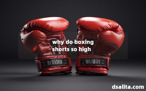 why do boxing shorts so high-Dsalita Boxing