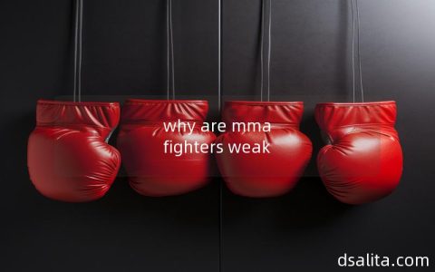 why are mma fighters weak-Dsalita Boxing