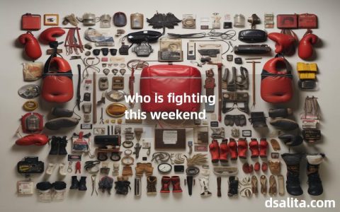who is fighting this weekend-Dsalita Boxing