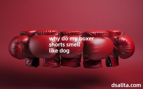 why do my boxer shorts smell like dog-Dsalita Boxing