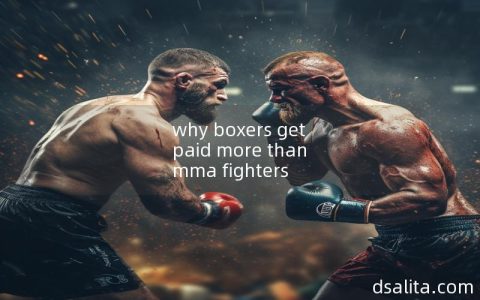why boxers get paid more than mma fighters-Dsalita Boxing